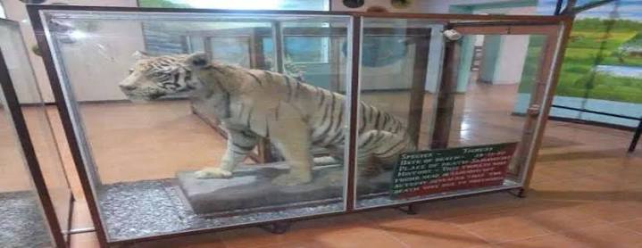 Dhangadi Museum - Places to Visit in Jim Corbett National Park - Gola Holidays - Slide 3